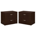 2 Piece Wood Filing Cabinet Set with 2 Drawer G30823
