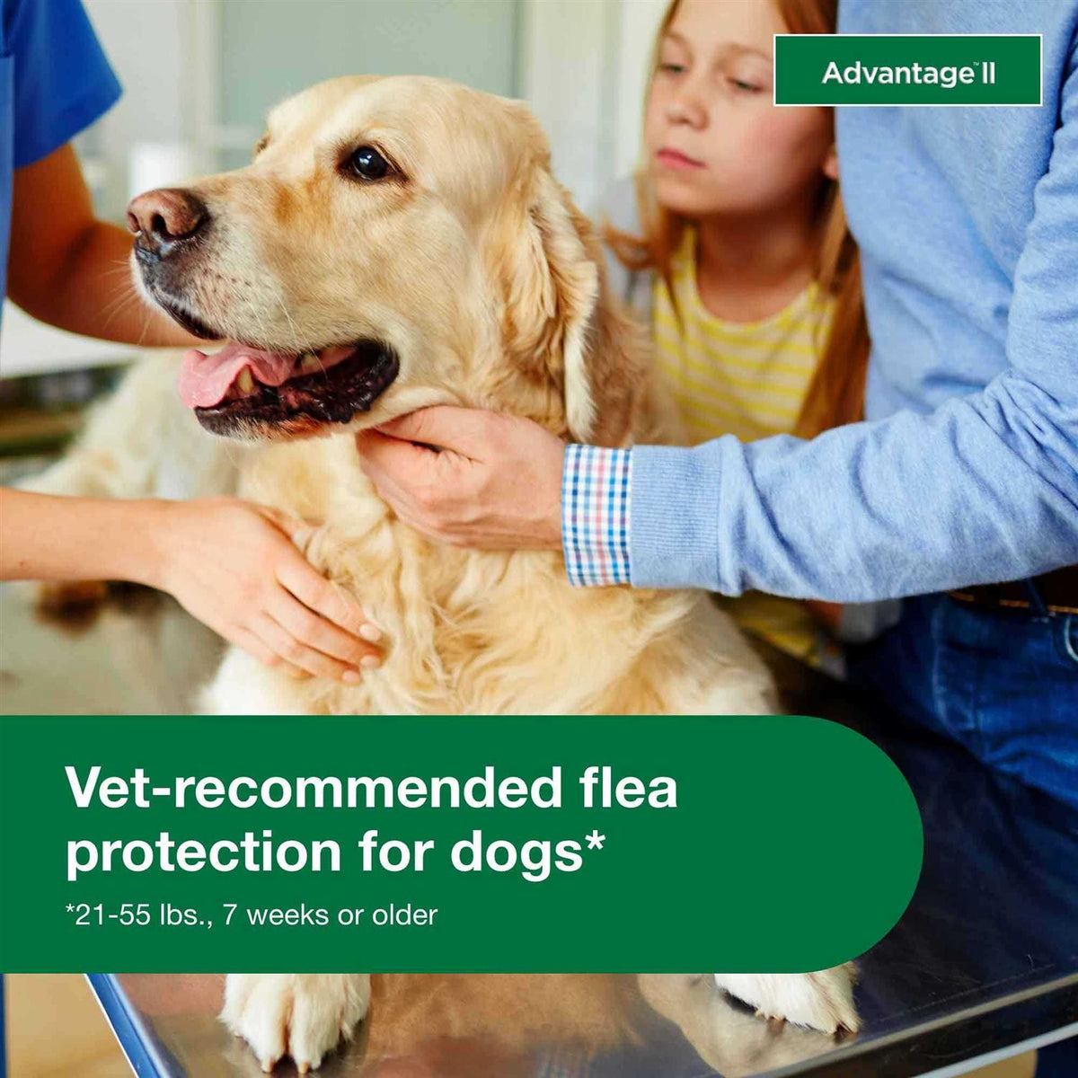 Advantage II for Dogs W40832