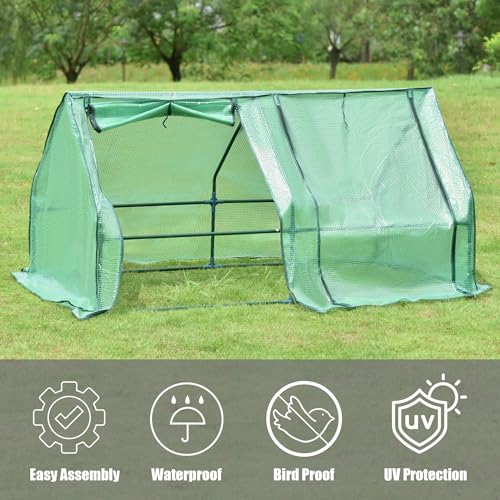 6 ft. x 3 ft. x 3ft. Mini Greenhouse with 2 Zipper Doors Q96114