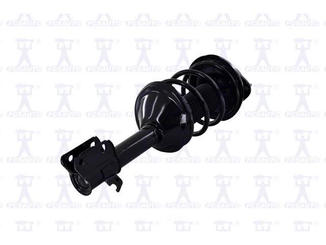 Suspension Strut and Coil Spring Assembly B1974