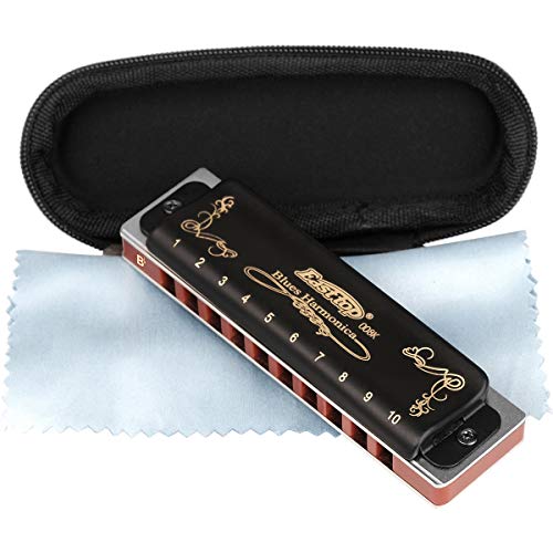 Harmonica Key of G 10 Hole 20 Tone Black with Case & Cleaning Cloth V1849