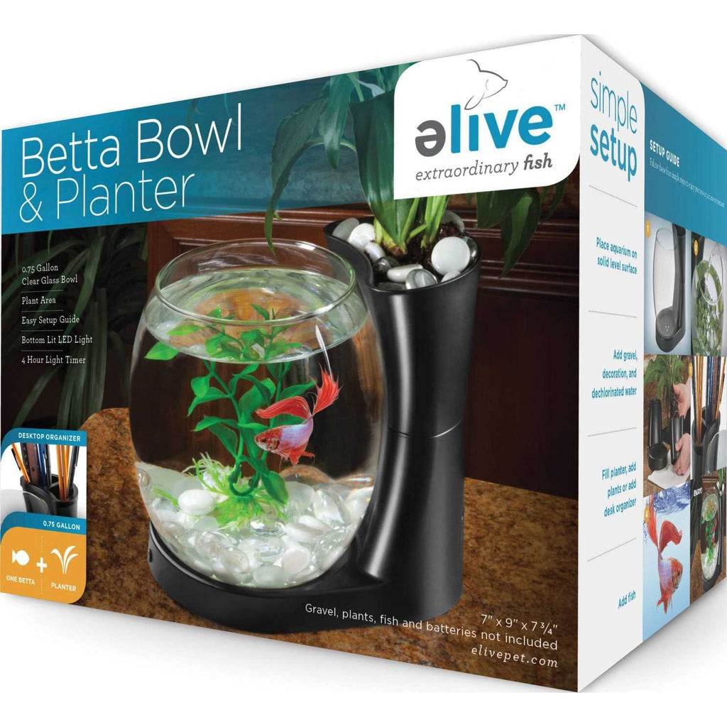 Betta Fish Bowl / Betta Fish Tank with Planter F201022