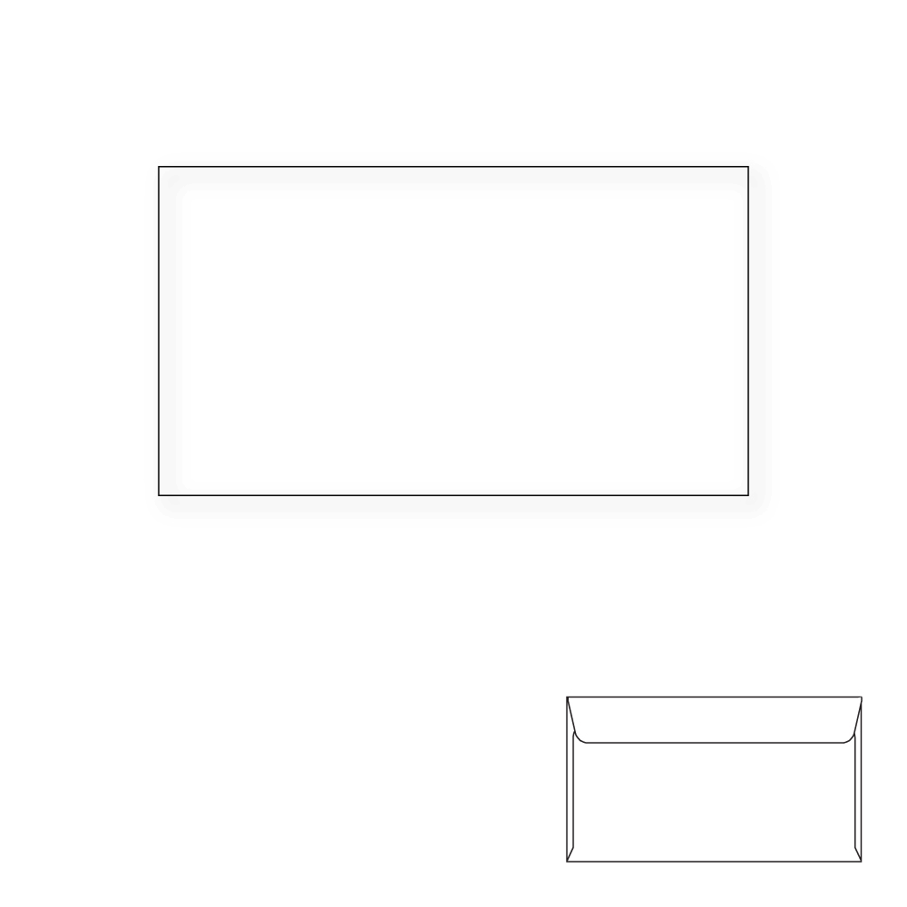 6-1/4 Regular Envelopes, White, Carton of 5000 L5393