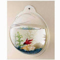 Wall Mounted Acrylic Fish Bowl M9579