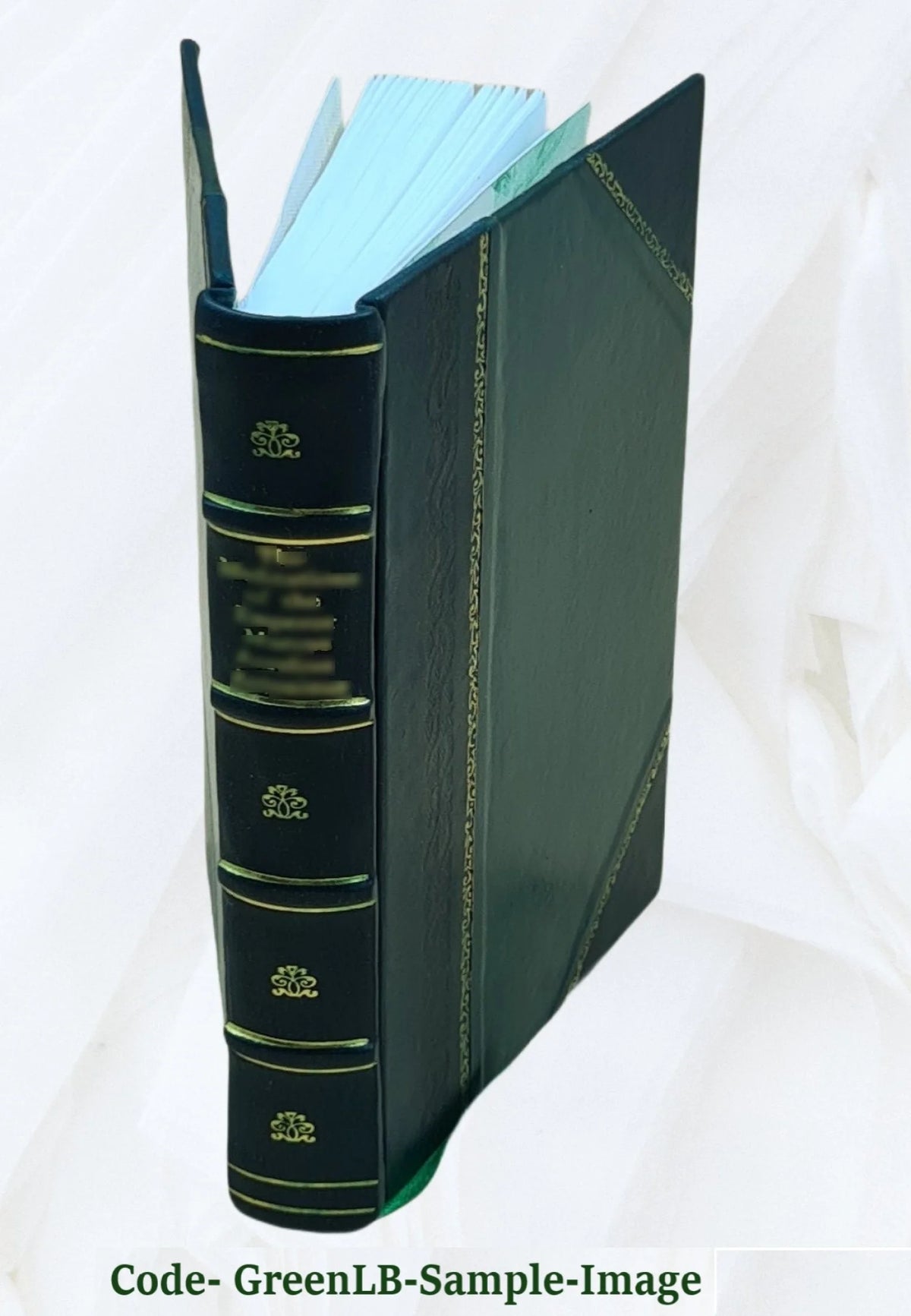 Cockpit of Santiago Key [Leather Bound] I398576
