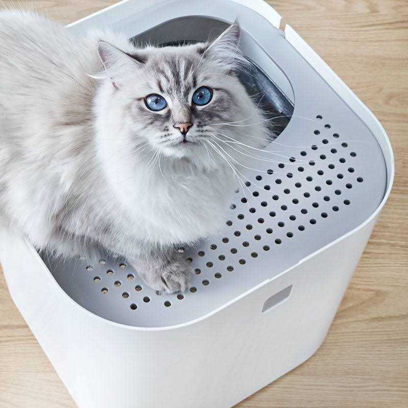 Litter Box N452