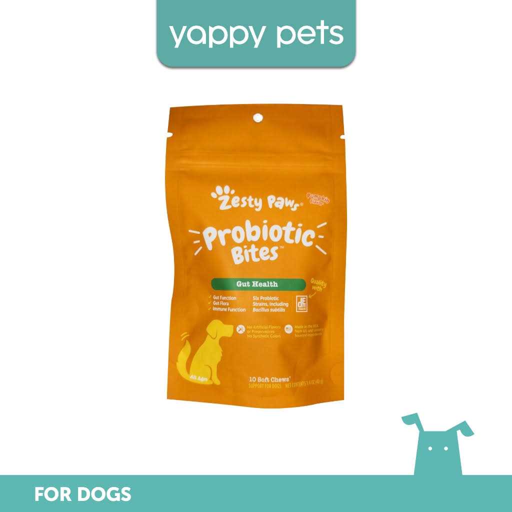 Probiotic Bites Pumpkin Flavored Soft Chews Digestive Supplement for Dogs O257053
