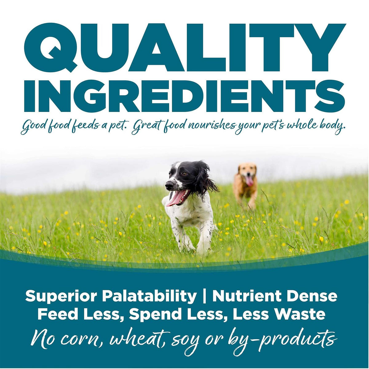 Adult Chicken Rice Dry Dog Food Q12700