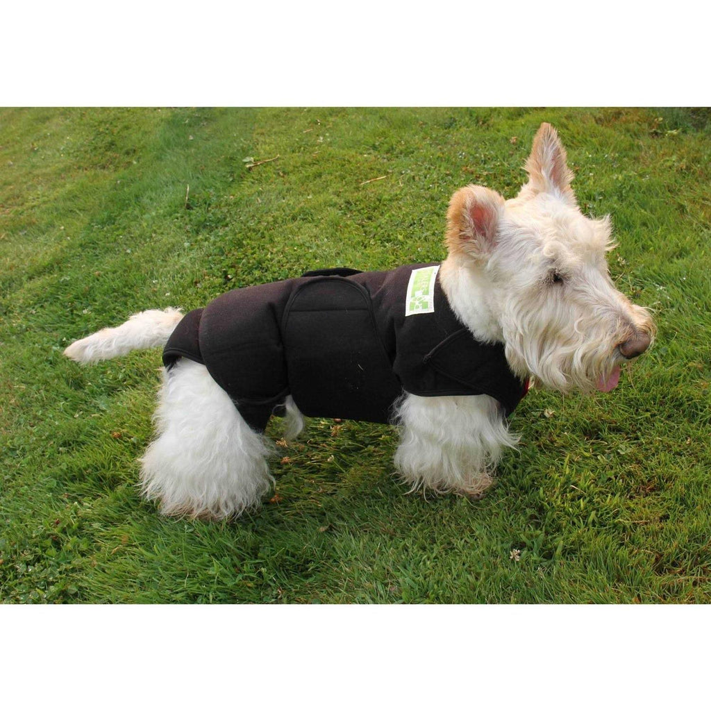 Dog Wrap T6041