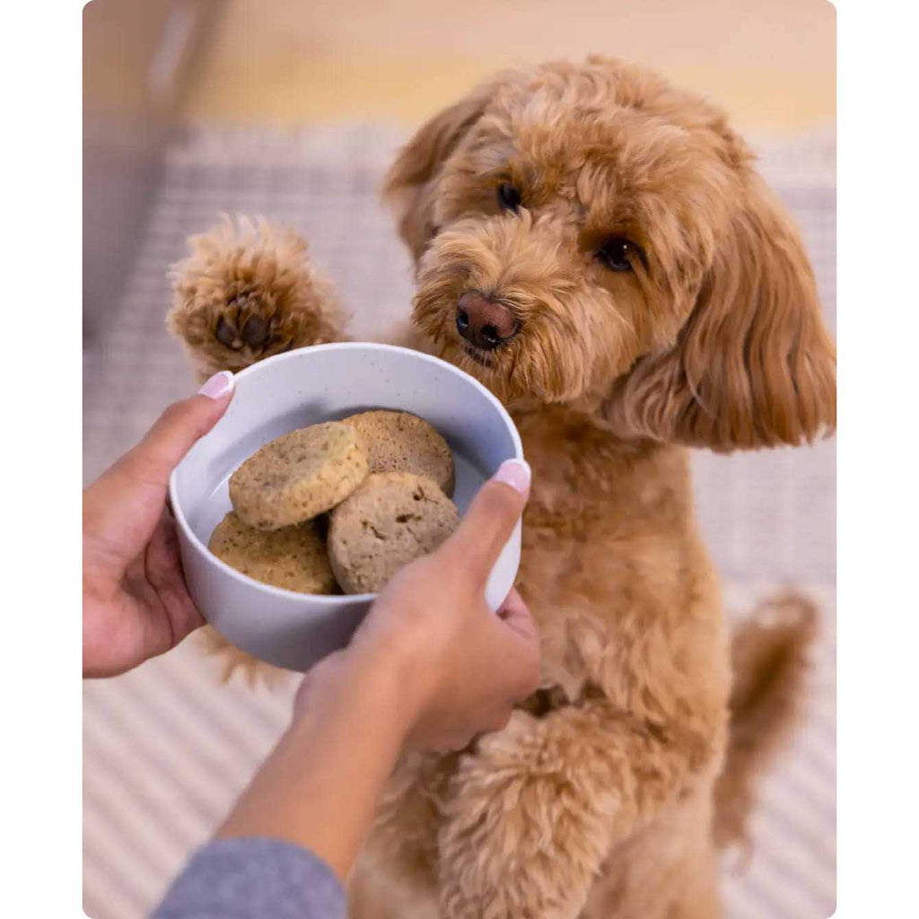 Freeze Dried Raw Patties Dog Food N656642