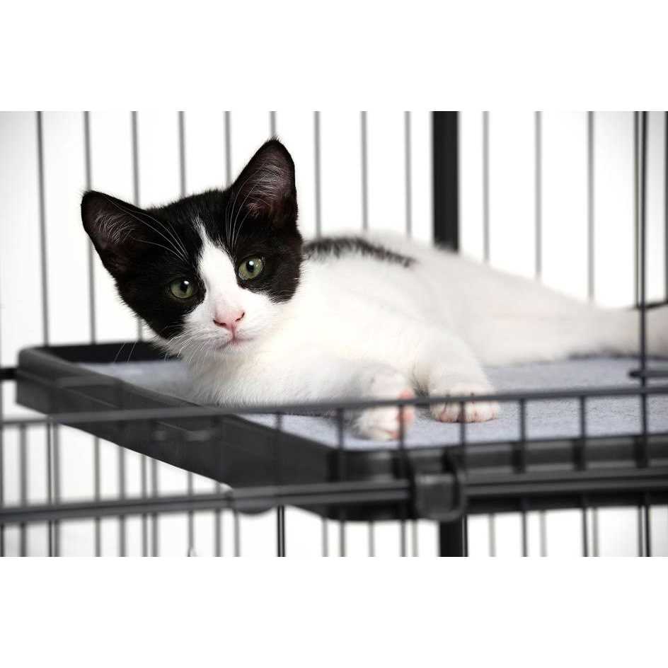 Replacement Platform Shelf for Cat Cages M13254