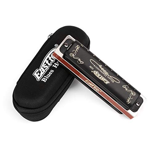 Harmonica Key of G 10 Hole 20 Tone Black with Case & Cleaning Cloth V1849
