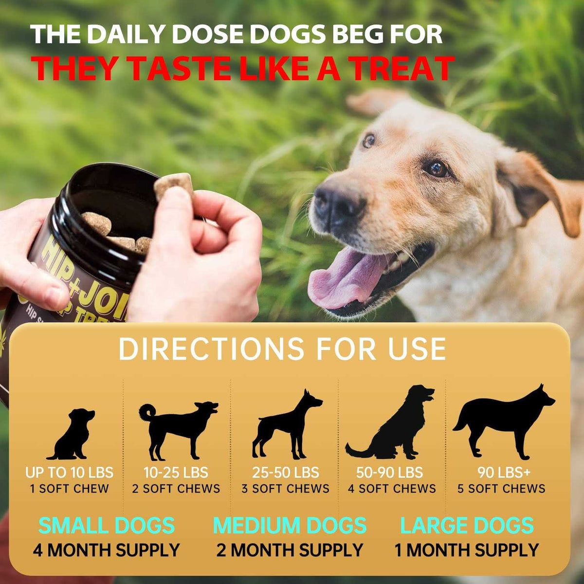 Hemp Hip and Joint Supplement for Dogs P925062