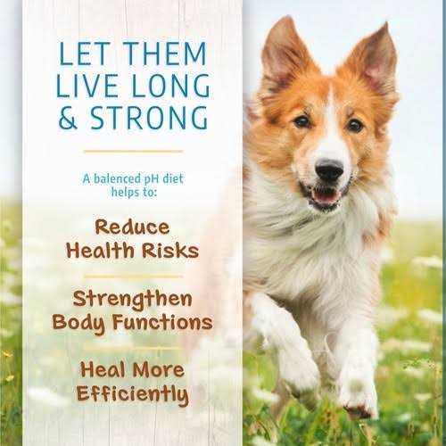 Limited Ingredient Dry Dog Food B516713