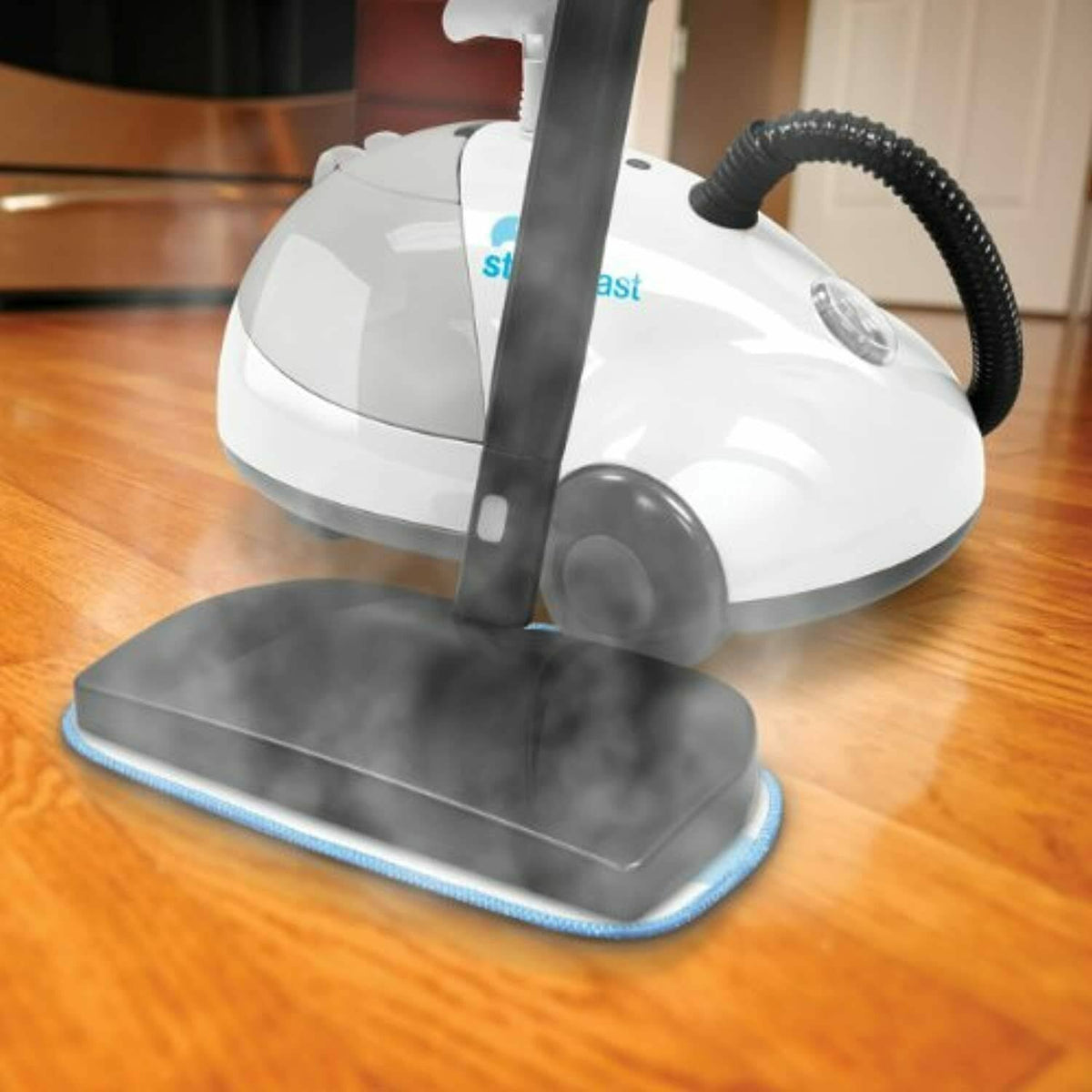 Canister Steam Cleaner X805