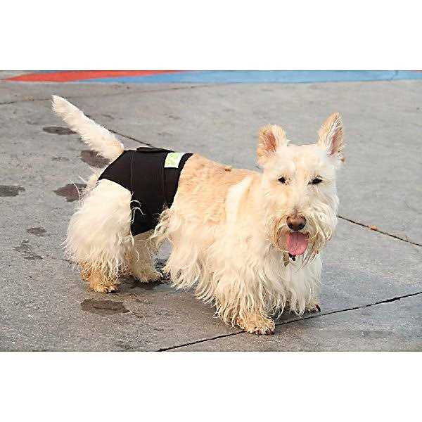 Dog Wrap T6041