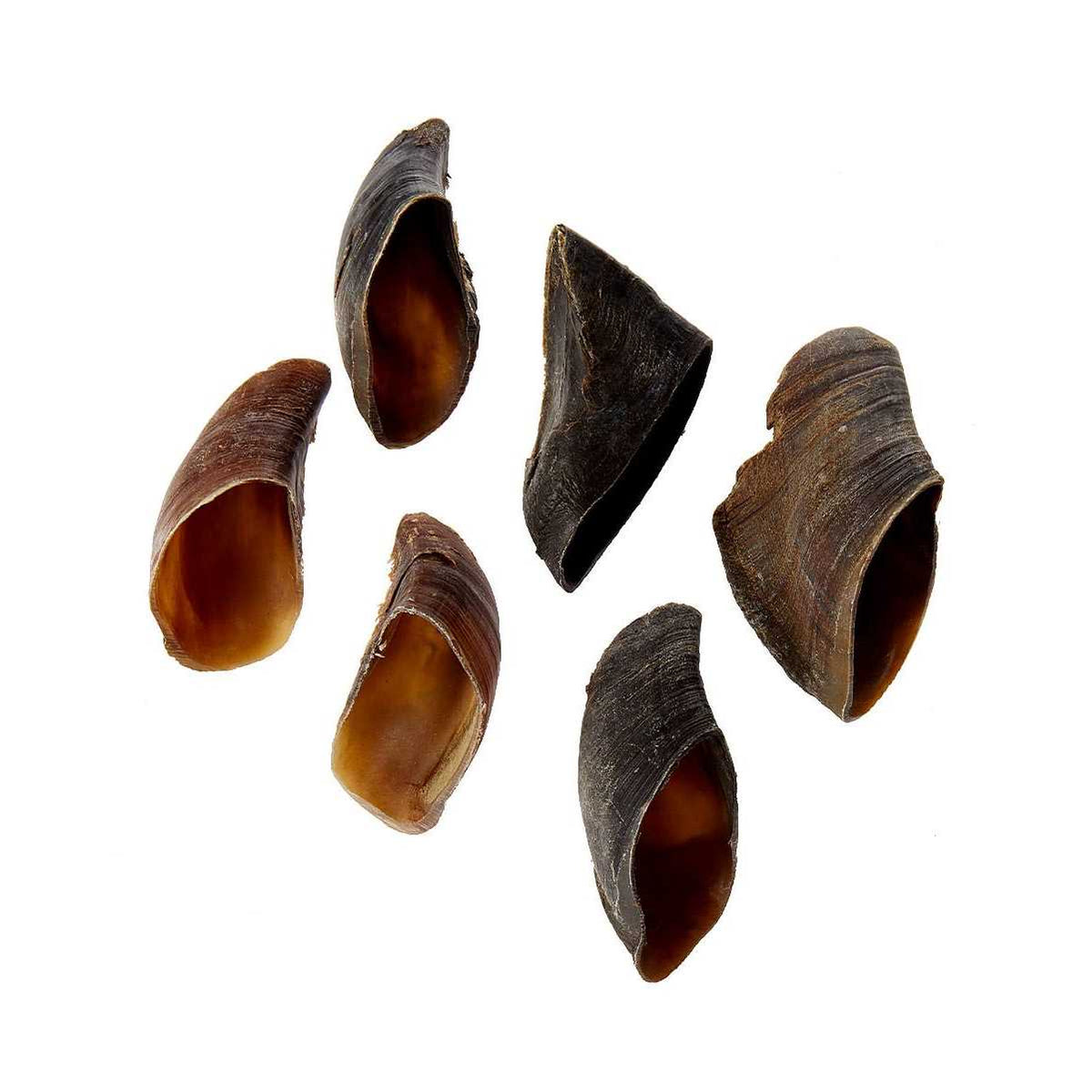 Cow Hooves for Dogs L7476