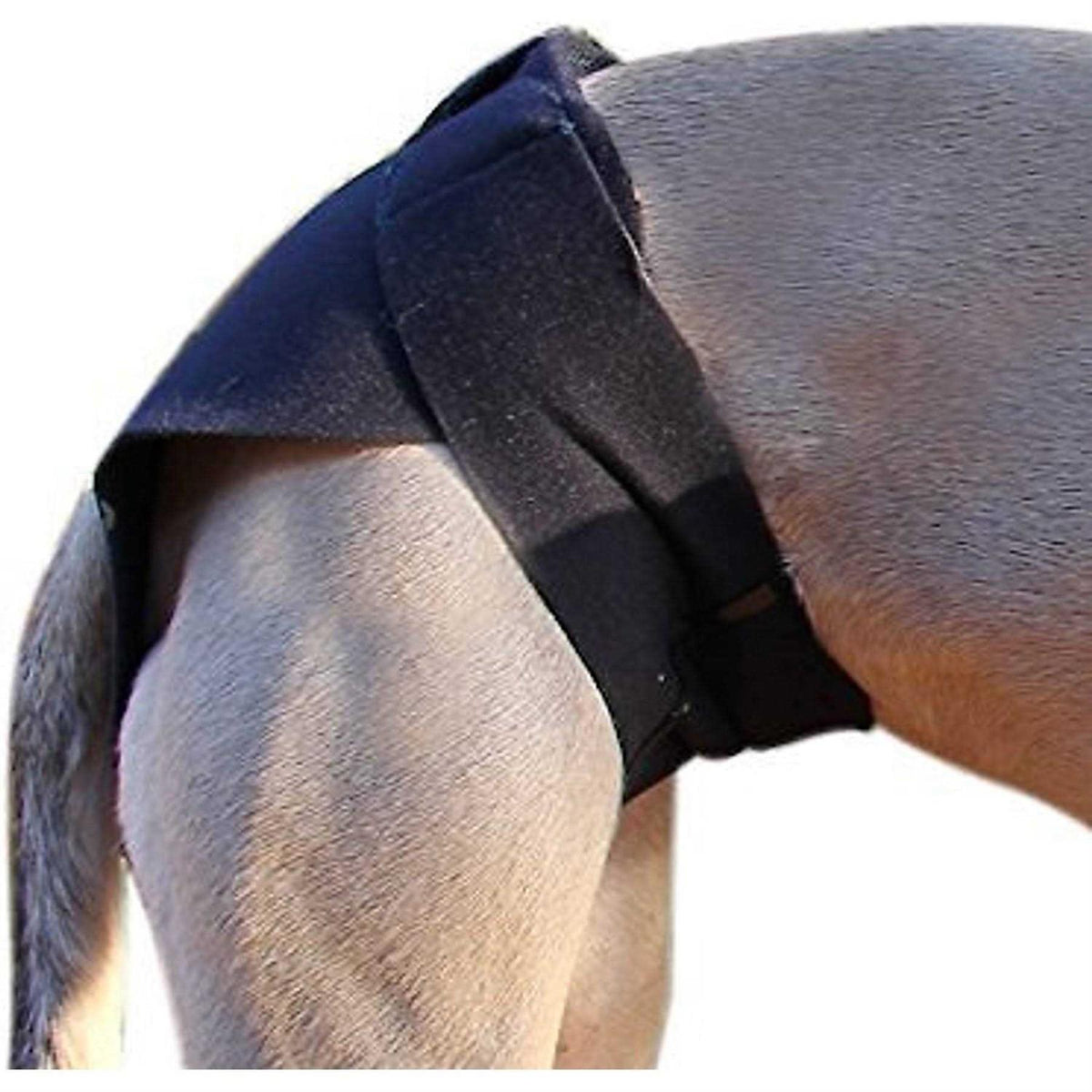 Dog Wrap T6041