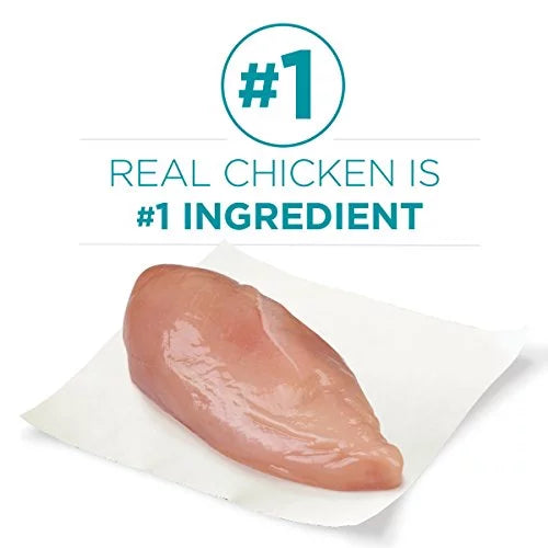 Natural Dry Cat Food With Real Chicken 7 lb. Bag U251435
