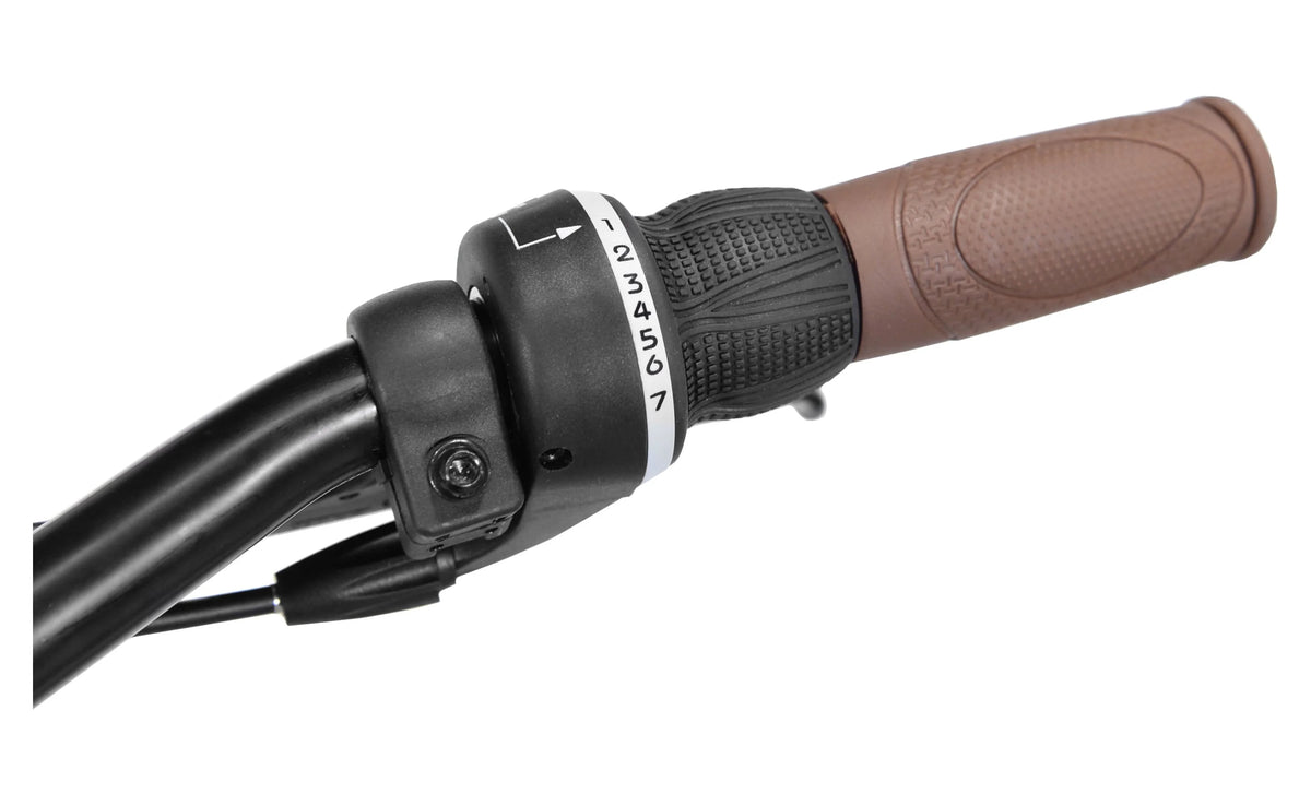 26 In. Satin Cocoa Cruiser Bike T30462