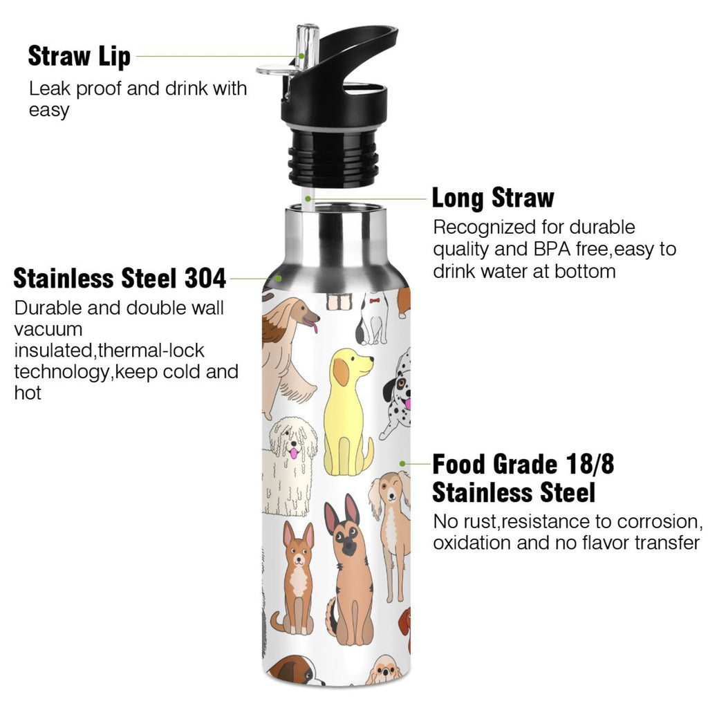 20 oz Insulated Stainless Steel Water Bottle with Straw Lid B720