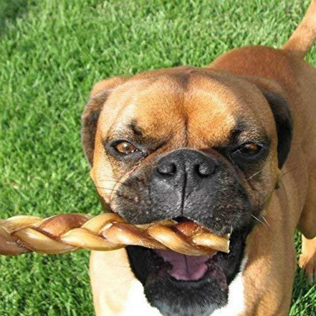 Braided Bully Sticks Dog Treats G121