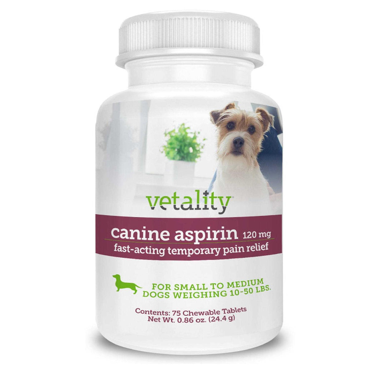 Canine Aspirin J31702