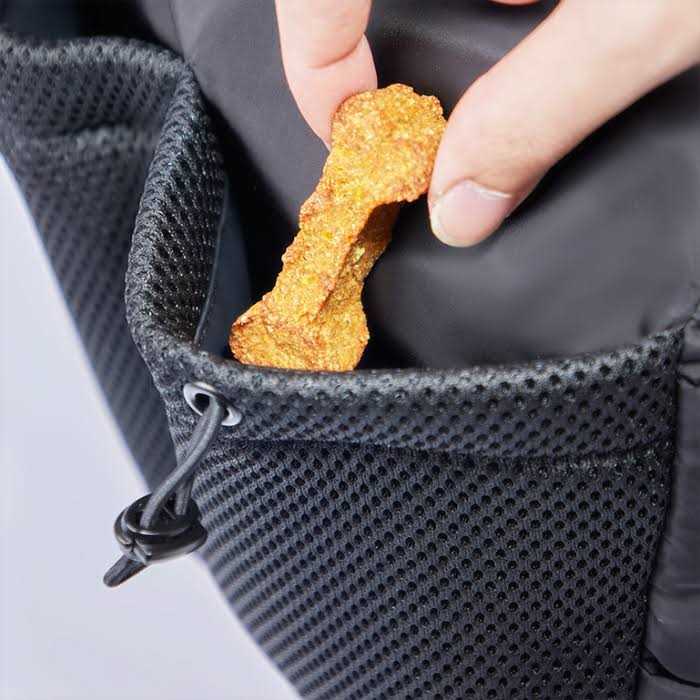 Dog Walking Bag O592