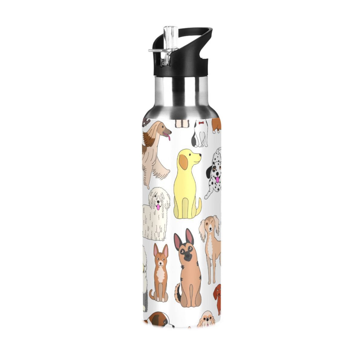 20 oz Insulated Stainless Steel Water Bottle with Straw Lid B720