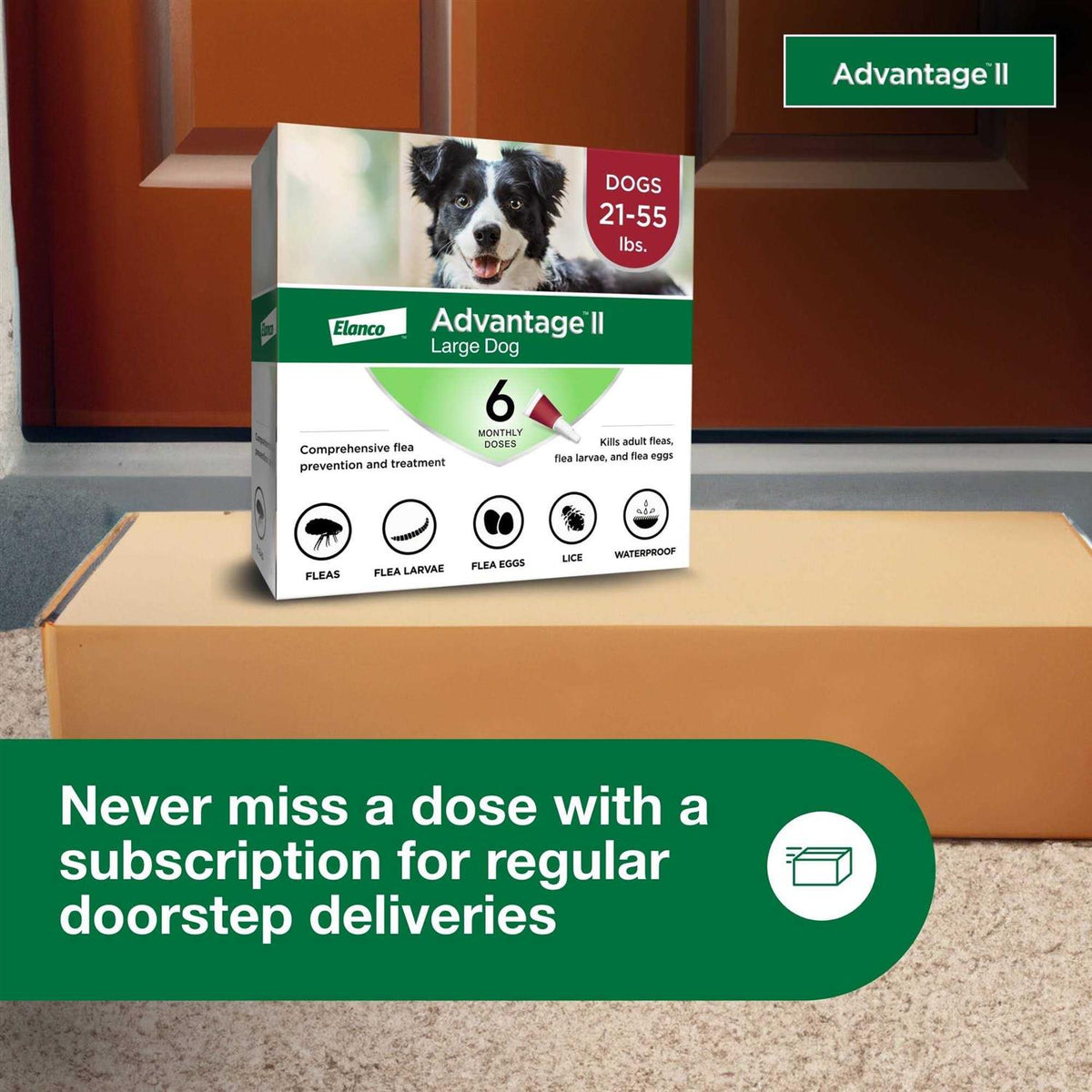 Advantage II for Dogs W40832