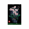 Orchid G28638