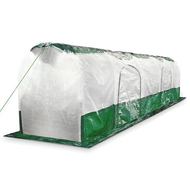 Polytunnel Super Dome X919746