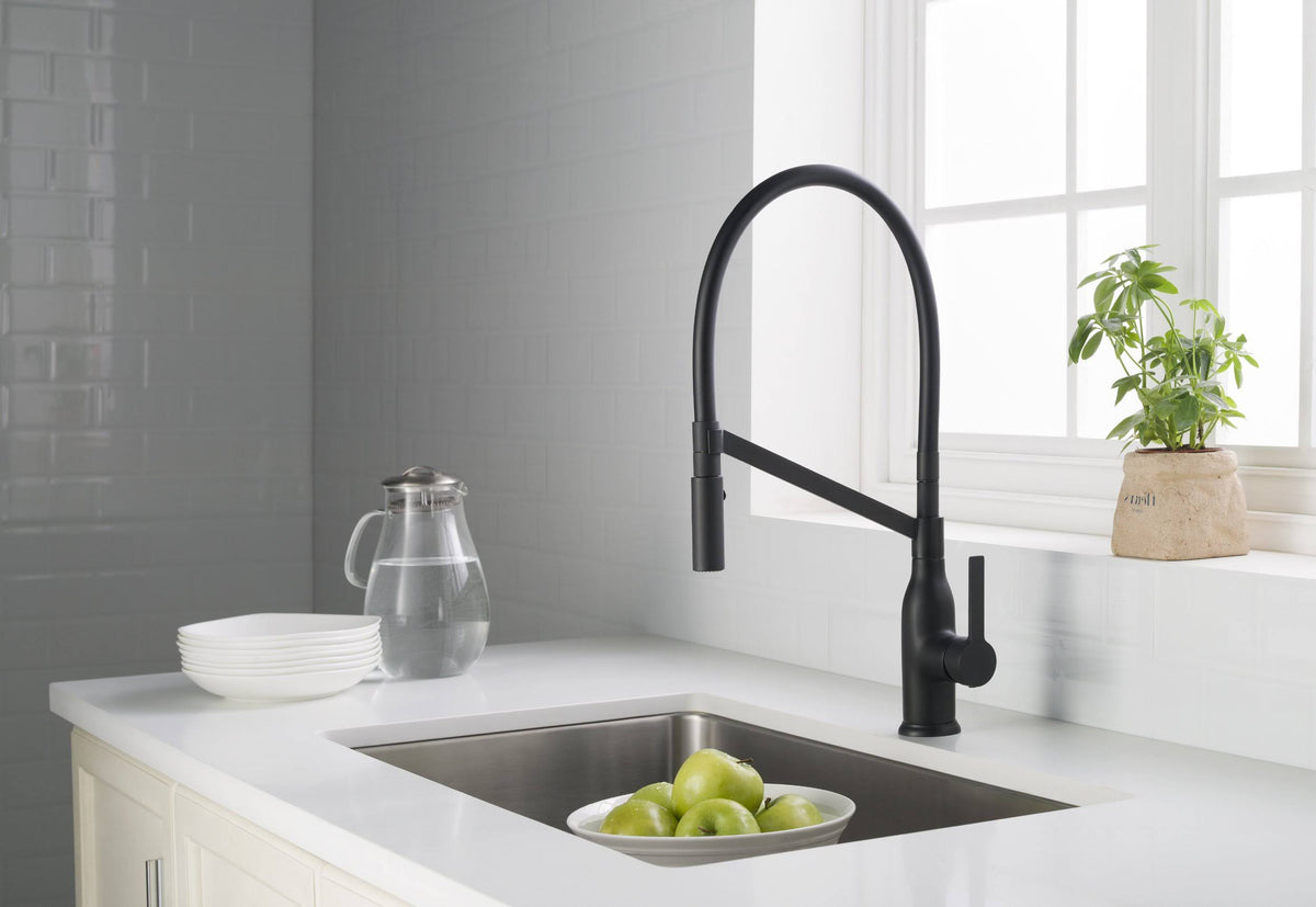 Matte Black Gooseneck Single Lever Kitchen Faucet with Spray Head R16359