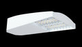 Type III 65W 5000K LED 120-277V Dim 40ft WS White D645