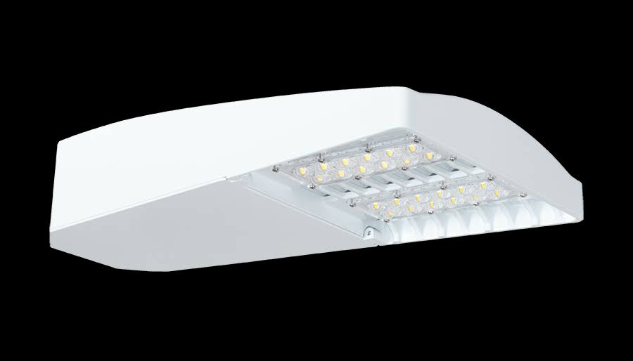 Type III 65W 5000K LED 120-277V Dim 40ft WS White D645
