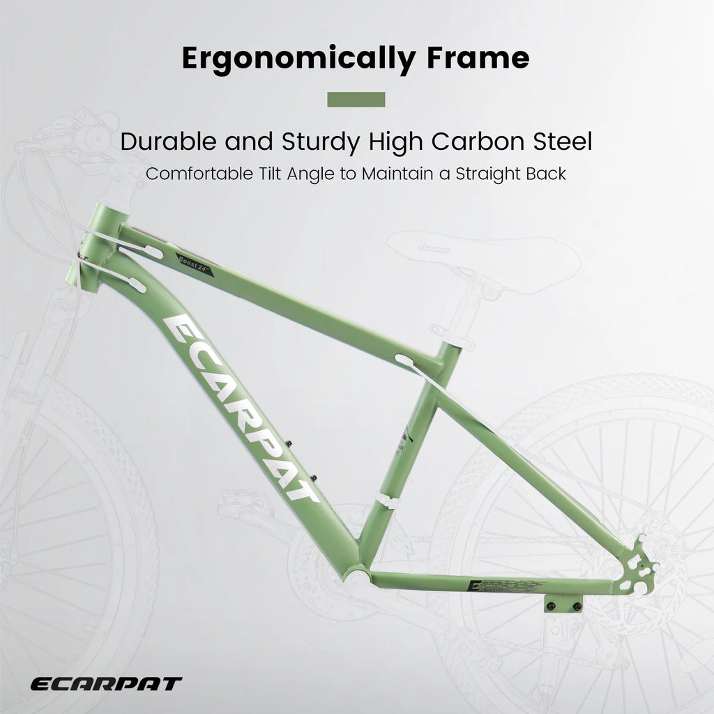 24 Inch Carbon Steel Frame Mountain Bike G778