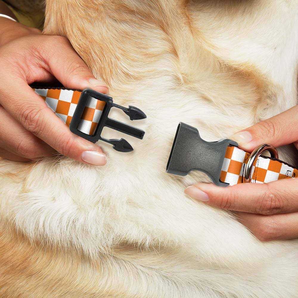 Pet Collar Y891474