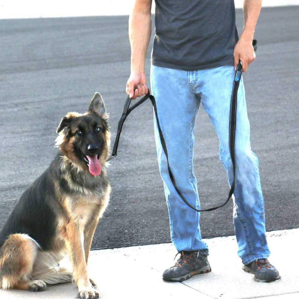 Double Handle Reflective Dog Leash O748