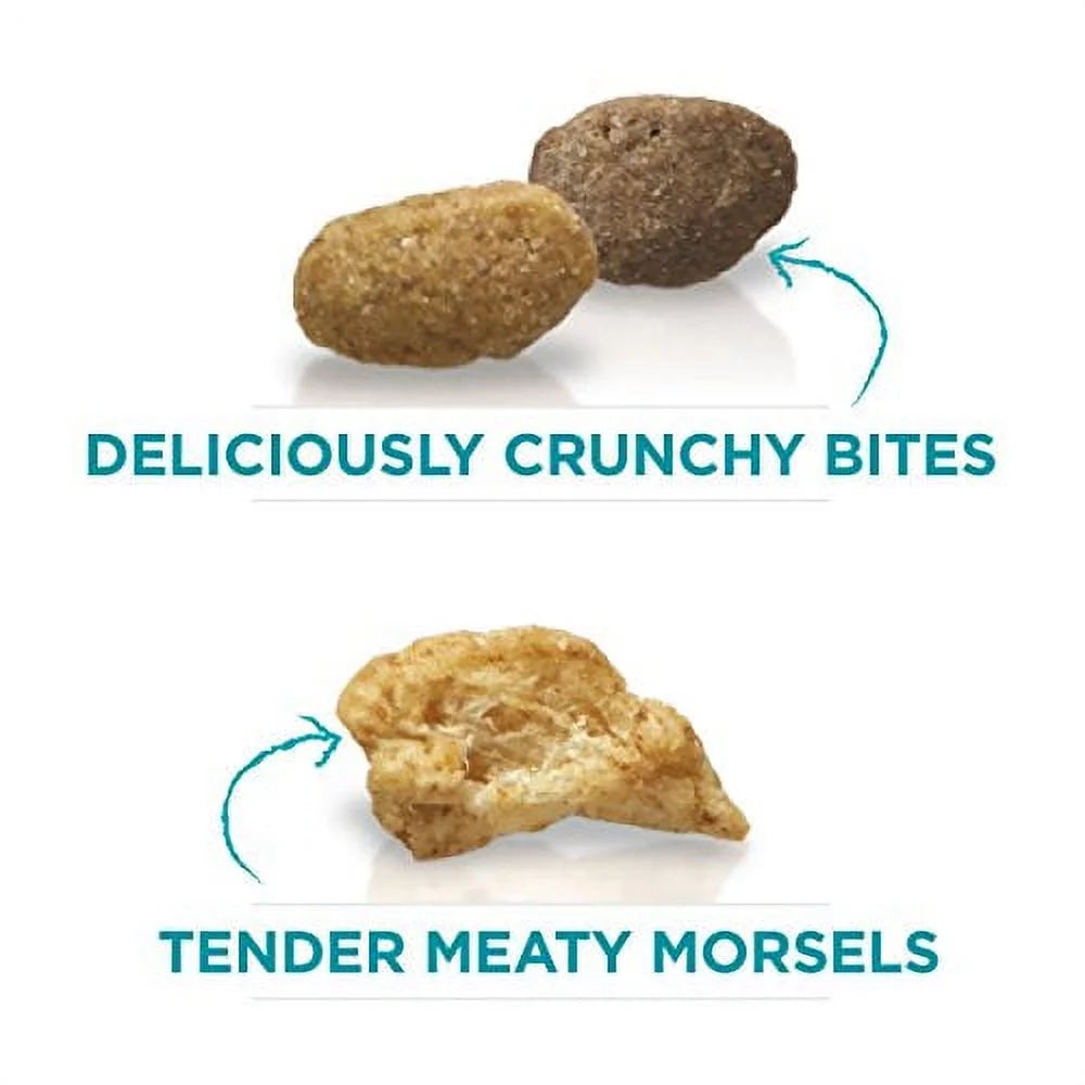 Natural Dry Cat Food With Real Chicken 7 lb. Bag U251435