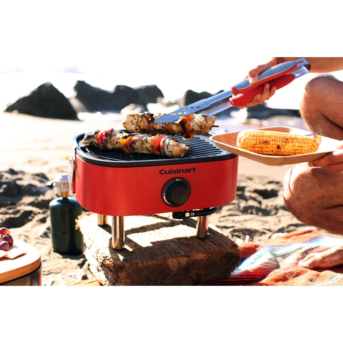 Portable Propane Gas Grill O10369