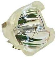 Replacement Bare Lamp Projector Bulb G2513