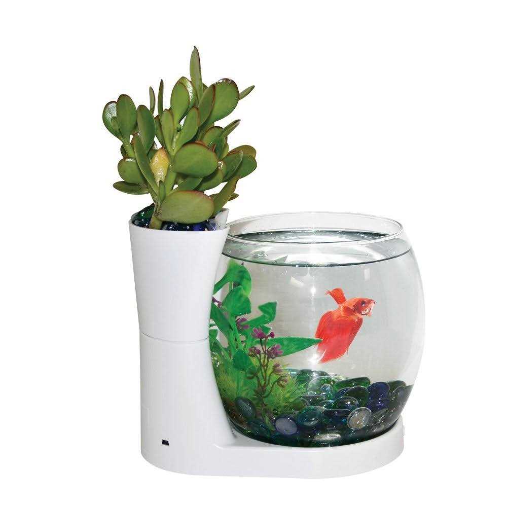 Betta Fish Bowl / Betta Fish Tank with Planter F201022