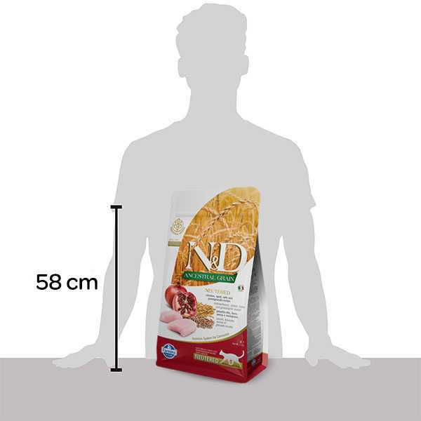 Chicken & Pomegranate Dry Cat Food H26417