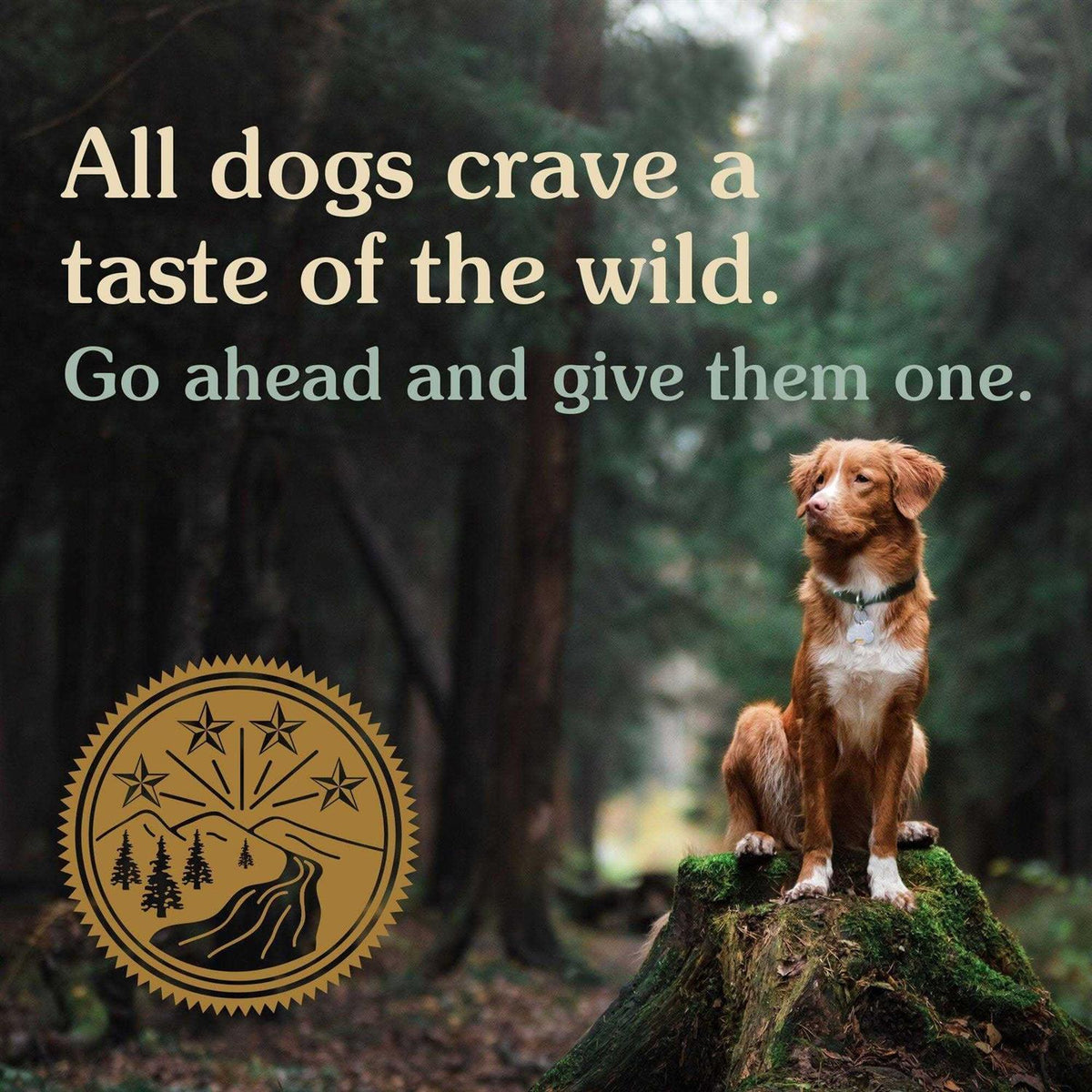 Dog Food J4435