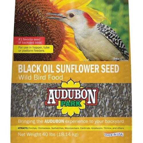 Black Oil Sunflower Seed Wild Bird Food N593303