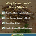 Braided Bully Sticks Dog Treats G121