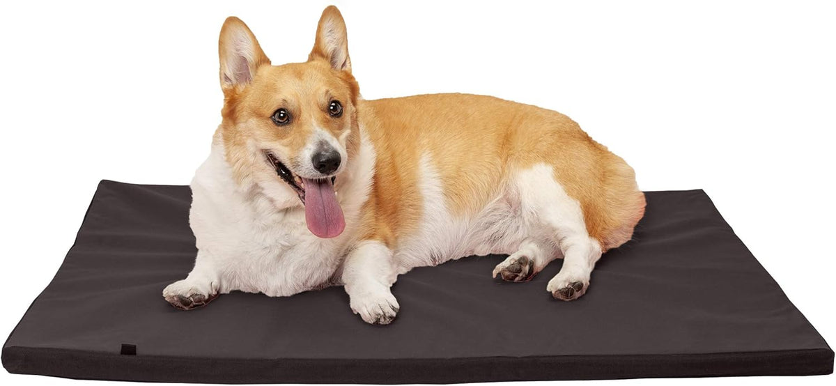 Water-Resistant Reversible Two-Tone Pet Bed Mat P4486
