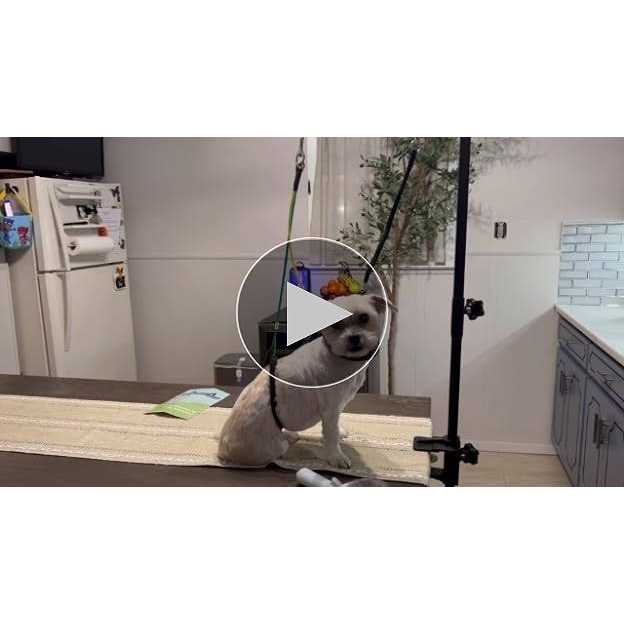 Adjustable Pet Grooming Table Arm with Clamp M40601