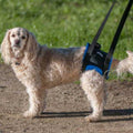 Back End Harness B24558
