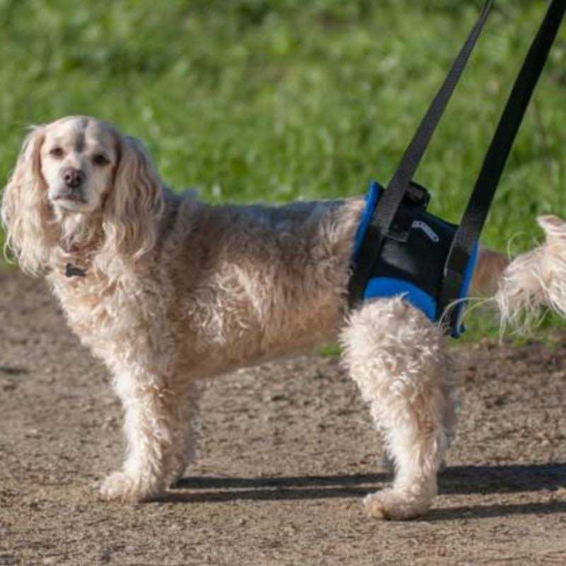 Back End Harness B24558